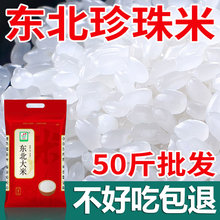 ���ږ|������50���b���l����10kg���������ז|������20�����b