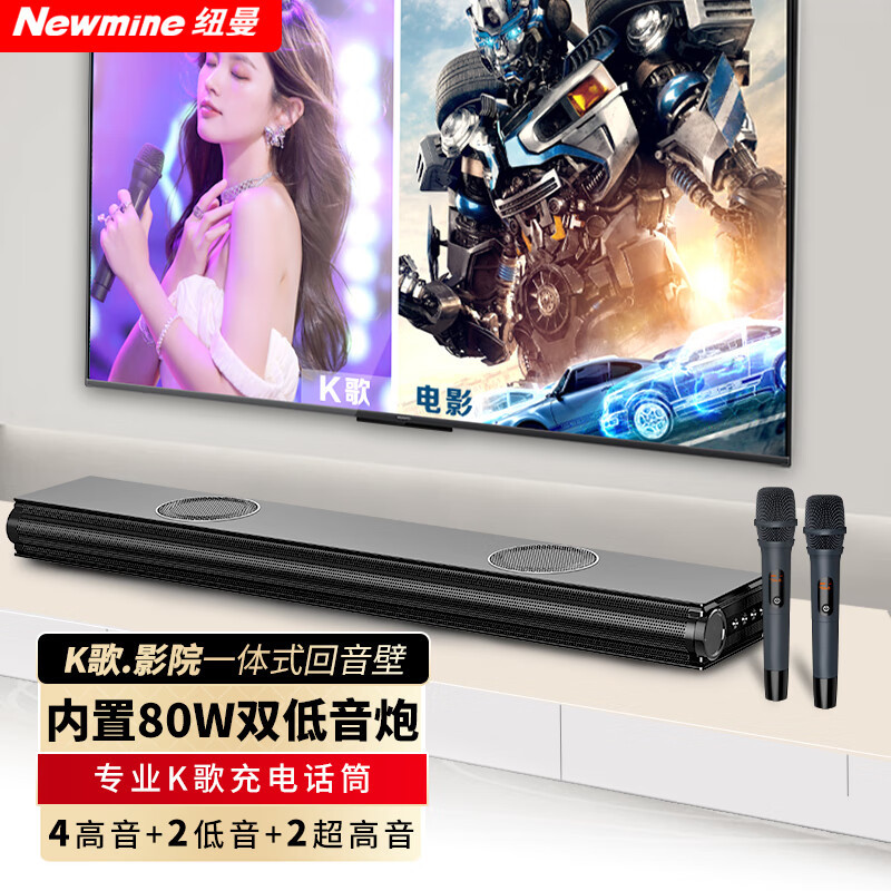 Newman (Newmine)AK-600 Pro Audio Karaoke Home Theater KTV TV Audio Back