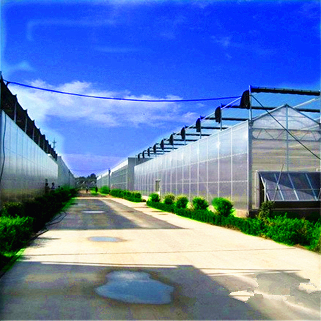厂家制作出售日光温室大棚  智能温室大棚  PC板温室大棚