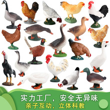 ��ͯ�ƽ̌��ķ����r������ģ�����������ţ���Z�R�u���Z�Y��[��