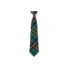 (No need to fight)--college green tie