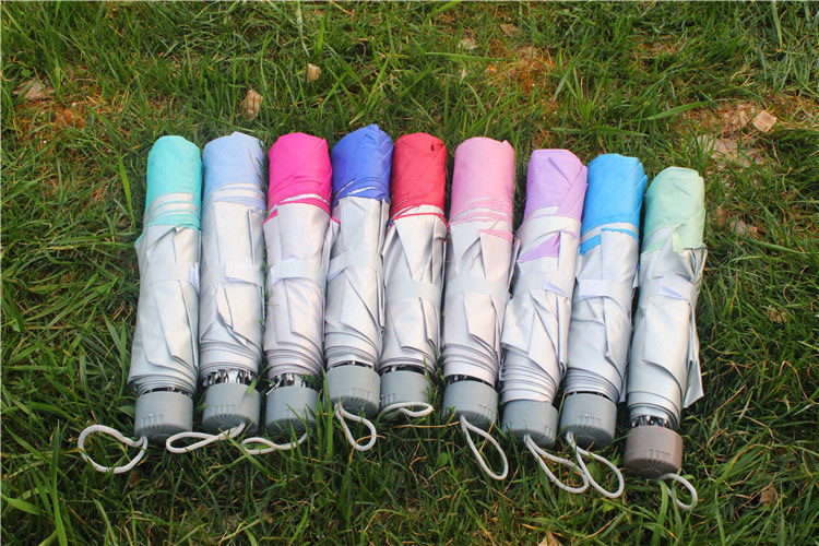 IMG_2204(20230906-230244)