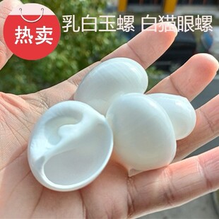 ��Ȼ����ؐ��������ݰ�؈���ݾ�ؐ�~�ľ�з�Q���~��ˮ���쾰�[��