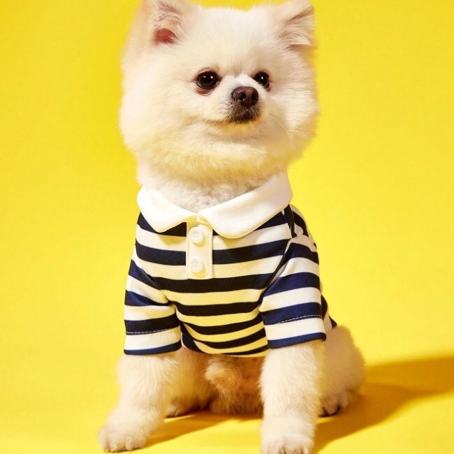 Navy Pet Dog Clothing Cat Apparel T-Shirt Clothes Warm Spring and Autumn Striped Round Neck T-Shirt for Large Dogs
