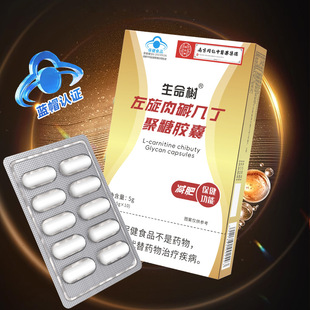 �F؛���l�������|�׶������z���������| 10��/��֧��һ�����l