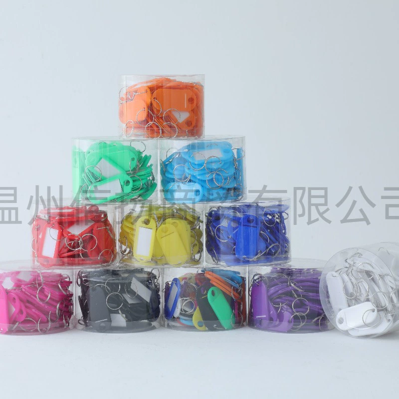 Plastic removable keychain for keys for office