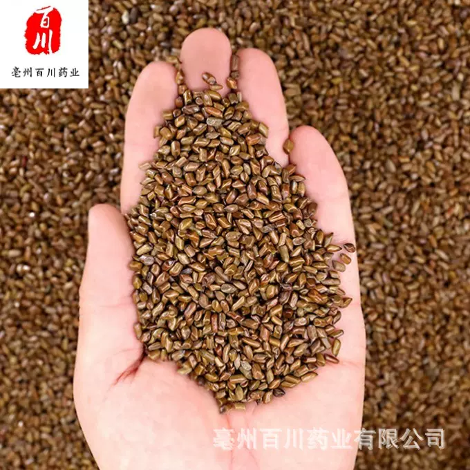 【批发】决明子批发决明子茶草决明 一斤  摆摊决明子玩具沙批发