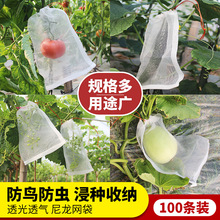 葡萄火龙果防虫防鸟尼龙网袋浸种育种袋水果纱网袋子套袋收纳袋子