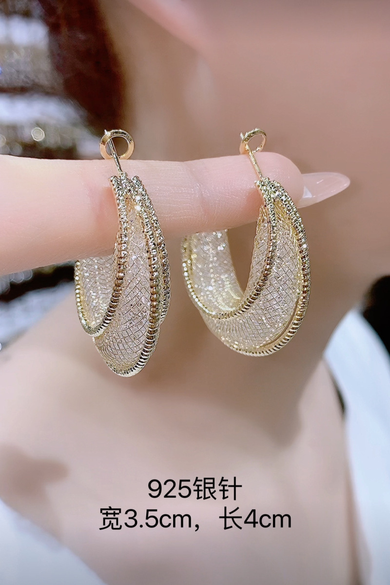 Metal Mesh Earrings Small Hoop Earrings 2023 New Fashionable Korean Internet Celebrity Elegant High-grade Circle Earrings