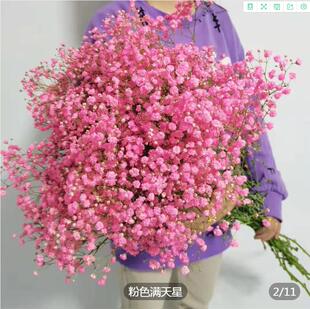 �M�����r���W�t�r�������۔[�����նY�����������ֱ�l(�r���l؛)