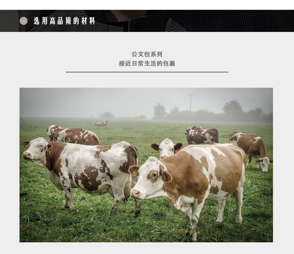 3086 Chinese_07.jpg