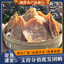 ��؛�r���Sɽ���S��o�}�S�ɸ�؛��S�ɹS��ȥ�S�¸ɹS����S���l