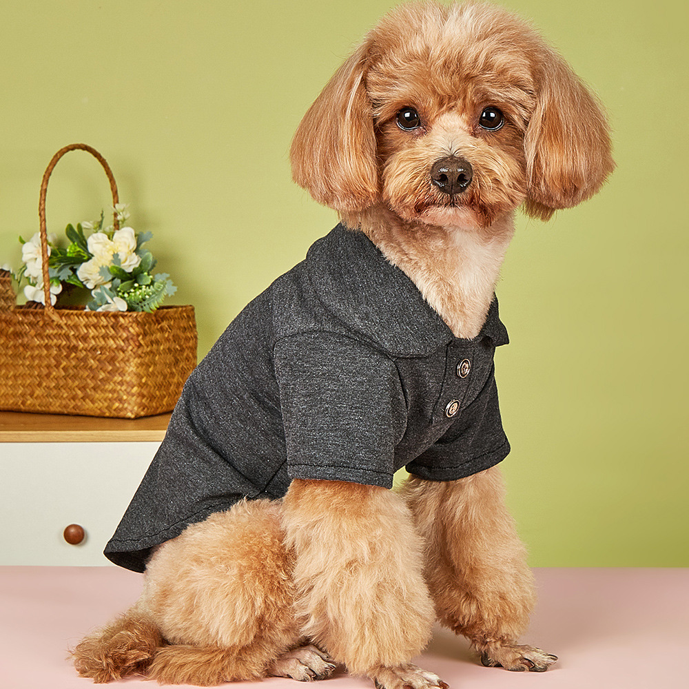 Simple Style Polyester Solid Color Pet Clothing display picture 1