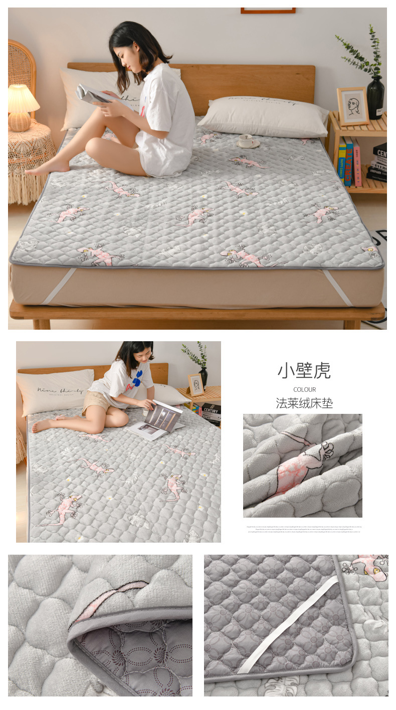 小壁虎.jpg