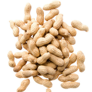 ����С������ζС����ˮ������С������؛��ʳ���lС����ɢ�b����