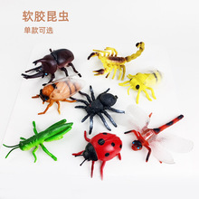 仿真动物昆虫PVC动物玩具摆件跨境多款蜘蛛摆设场景科教认知模型