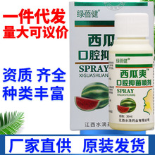绿蓓健西瓜霜喷剂 30ml西瓜爽喷剂喷雾 量大可议价支持一件代发