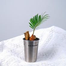 铁树宝宝盆栽办公桌面摆放澳洲杉室内净化空气趣味绿植送礼物植物