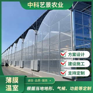 薄膜连栋温室 花卉蔬菜种植大棚可实地测量搭建安装方便 薄膜大棚