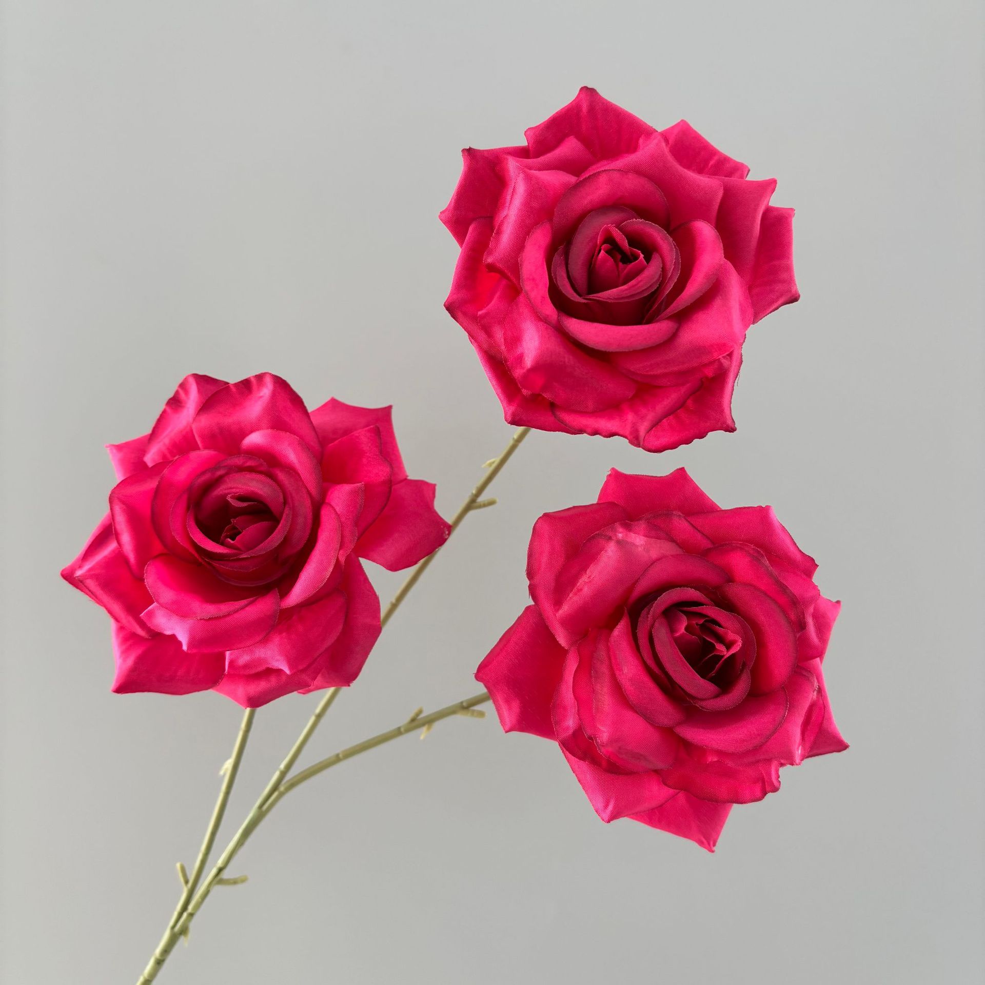 새로운 3헤드 다이아몬드 로즈