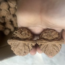 文玩核桃手玩核桃水龙纹狮子头散果，果型圆润饱满，老树山地果，