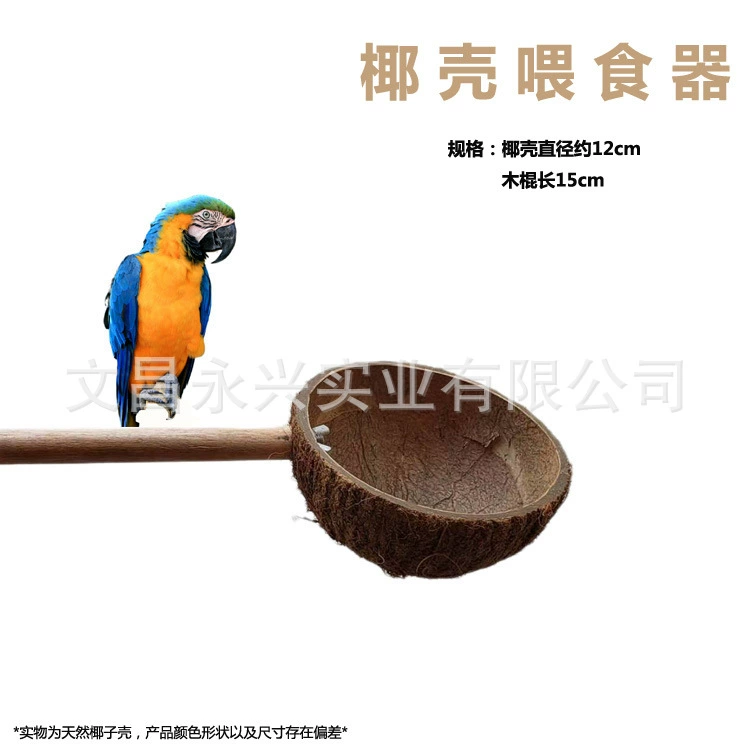 Хомяк белка попугай скорлупа кокосового ореха миска для кормления воды кормушка для кормления миска для кормления фиксированная скорлупа кокосового ореха