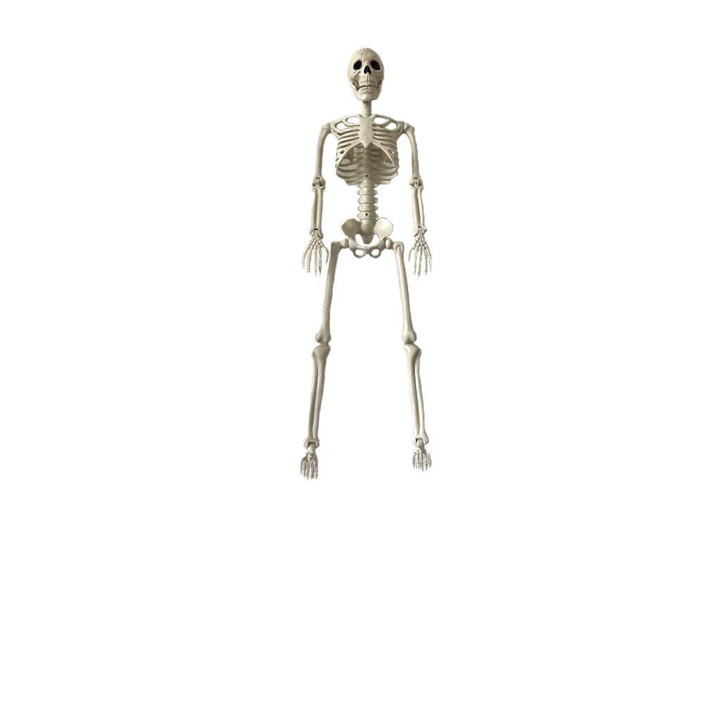 90cm esqueleto humano esqueleto humano decoración de Halloween modelado bar embrujado props de diseño