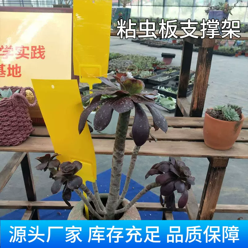 地插粘虫板专用防水标识牌支架加厚跨境批发大棚果园花卉沾虫板