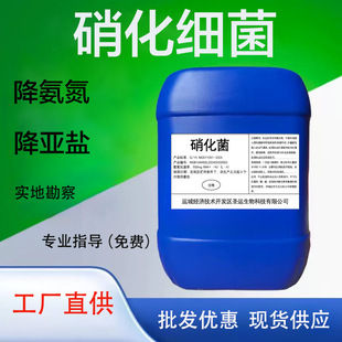 ���B����������ˮ̎�����N�������������������ؚ���ٽ��������}