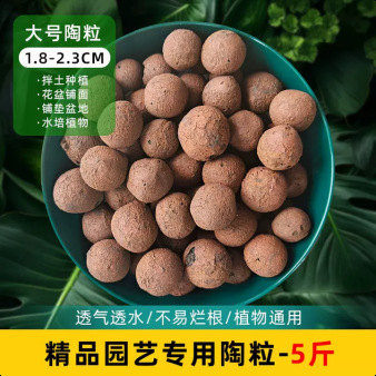 大号陶粒5斤