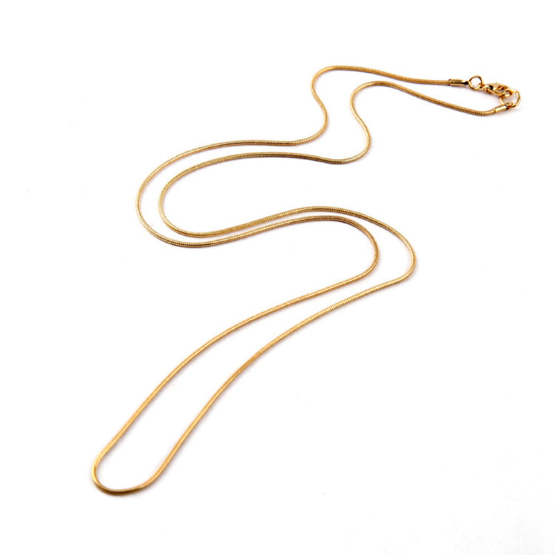 European And American Style Fashion Simple Snake Bones Chain Personality Sweet Cool Style Korean Style Clavicle Chain Internet Celebrity Same Design Necklace Fashion display picture 5