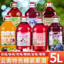 ��ϗ�÷��¶��5L��Ͱ�bõ���{ݮ���Ұ������÷÷�Ӿƹ���¶��