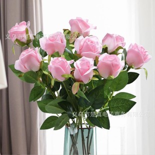 õ�廨ѩɽõ����滨����͏d�b[���廨��ƿ���������ٻ��[�O