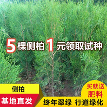 ؘɰ؂Ȱؘ؈Aɘ،Ĺذؘɘ