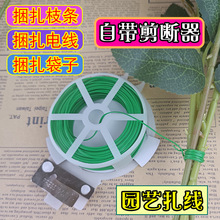 �@���¼�õ���������z�Gɫ�F�z���������z���������̶�