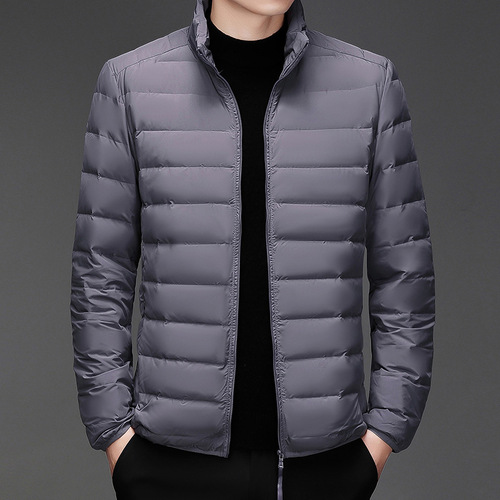 New off-season casual lightweight down cotton jacket for men, white down insulated stand-up collar short down jacket