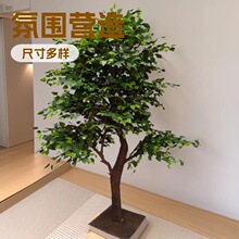 ����ɣ��ɣ��ˮ����٘�ɣ���䳬�д����b٘���@�Gֲ�[��