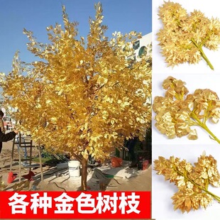 �羳�F؛�����Ř��~���^�쾰�b��~�ӈ@�־G������ָ��^�z�����