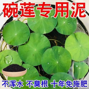 Special Mud for Bowl Lotus, Water Lily, Lotus, and Pennywort, No-Wash Aquatic Plant Mud, Does Not Cloud or Powder, Specifically for Hydroponic Plants