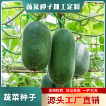 ����GƤС���ϷN�� һ��⏶��� 5g �A����С���� ����С���ϷN��