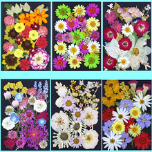 干花材料批發黑色底卡黑卡纸压花材料包真花标本儿童手工书签贴画