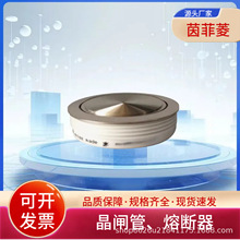 �ɿع�ģ��5STP50Q1400 5STP50Q1600 5STP50Q1800 5STP52U4600