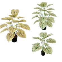 ����Gֲ������ݮ�~ ��Y�ҾӾƵ��b���18�^�����R��ɏ�~