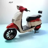 Южная Америка и Юго-Восточная Азия Alpha электрический мотоцикл внешняя торговля экспорт трансграничный двухколесный электрический мотоцикл производитель электромобилей