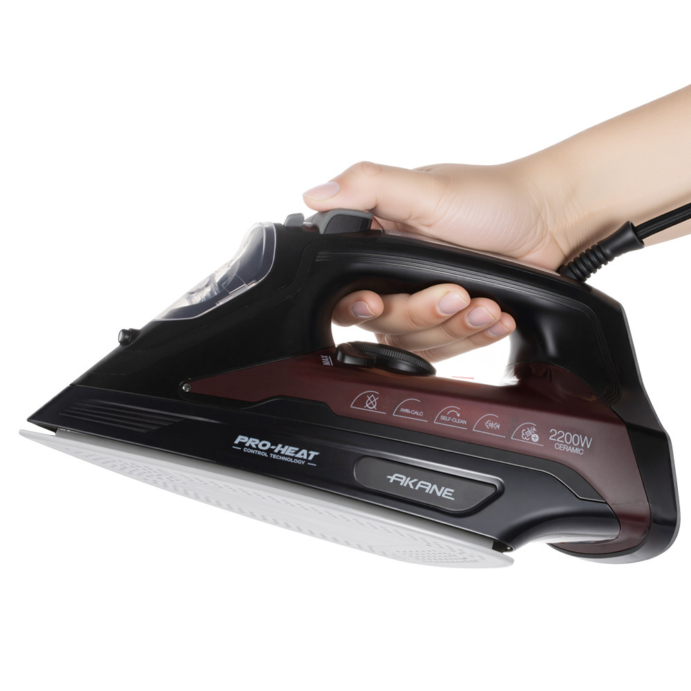 Raf European Cross-Border Household Handheld Electric Iron Small Portable Steam Iron Handheld Ironing Machine R.1257