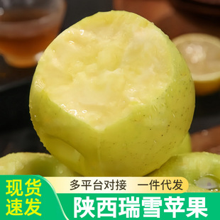 �����ѩ�O�����rˮ������������ˮ���O���Y�а�����һ�����l