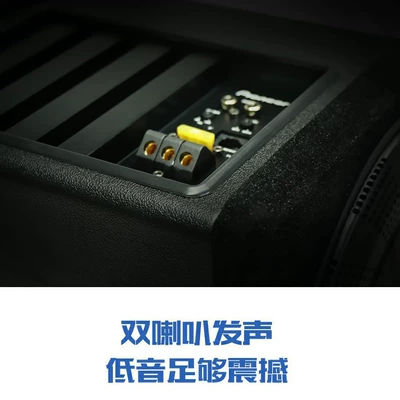 Car speaker/subwoofer Audio Active Subwoofer subwoofer