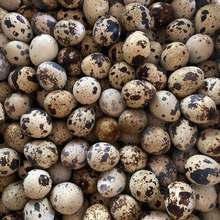 �B�������oʳ�g�����r�����r�ЋD��ɢ�B�g������