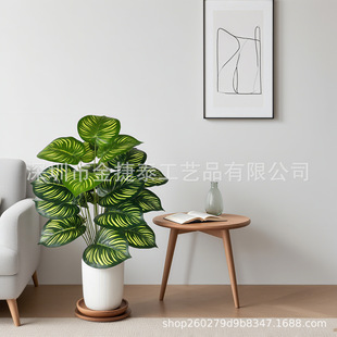 ���R�d���Wֲ���ָ��^�z�����~�Gֲ�b��쾰���Ի��c�b[��