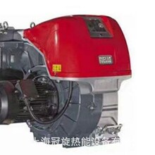 �������������·RIELLO �p�λ��p��ȼ��ȼ����RLS100